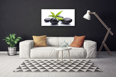 Quadro canvas Arte com Folhas e Pedras