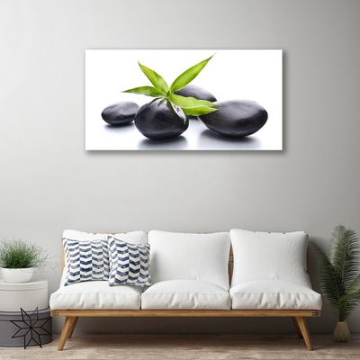 Quadro canvas Arte com Folhas e Pedras