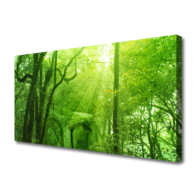 Quadro canvas Árvores Natureza