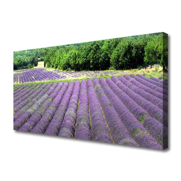Quadro canvas Flores do Prado Natureza Planta