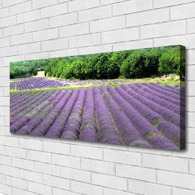 Quadro canvas Flores do Prado Natureza Planta