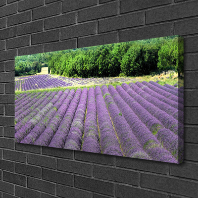 Quadro canvas Flores do Prado Natureza Planta