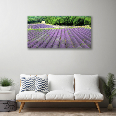 Quadro canvas Flores do Prado Natureza Planta