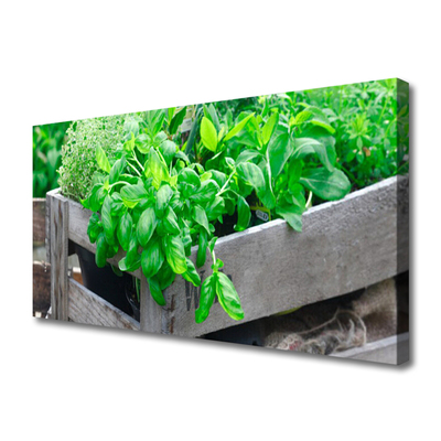 Quadro em tela Folhas Natureza Planta