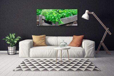 Quadro em tela Folhas Natureza Planta