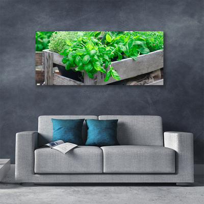 Quadro em tela Folhas Natureza Planta