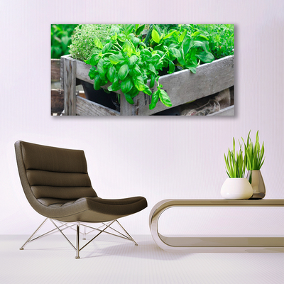 Quadro em tela Folhas Natureza Planta