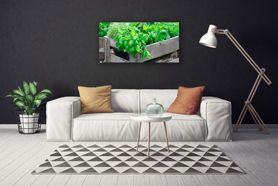 Quadro em tela Folhas Natureza Planta