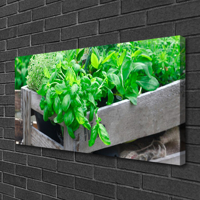 Quadro em tela Folhas Natureza Planta