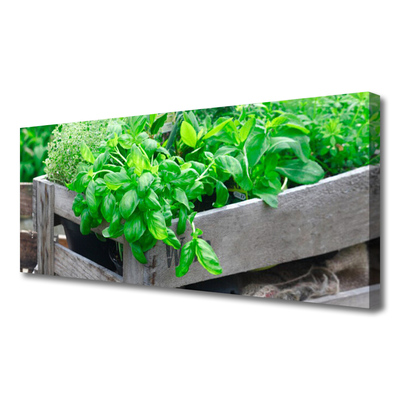 Quadro em tela Folhas Natureza Planta