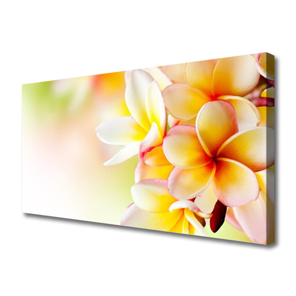 Quadro canvas Flores Planta Natureza