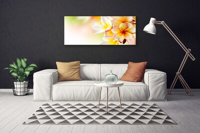 Quadro canvas Flores Planta Natureza