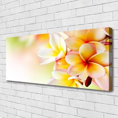 Quadro canvas Flores Planta Natureza
