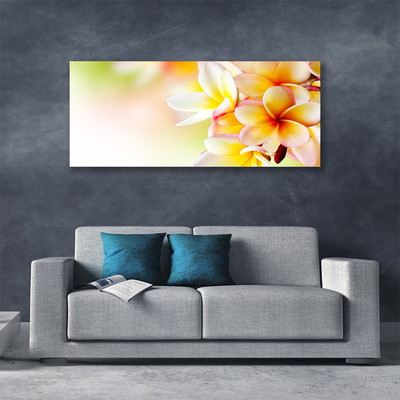 Quadro canvas Flores Planta Natureza