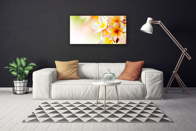 Quadro canvas Flores Planta Natureza