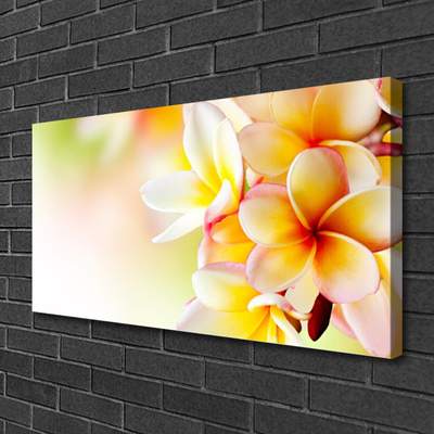 Quadro canvas Flores Planta Natureza