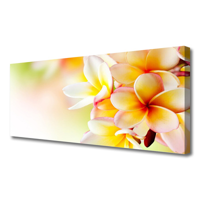 Quadro canvas Flores Planta Natureza