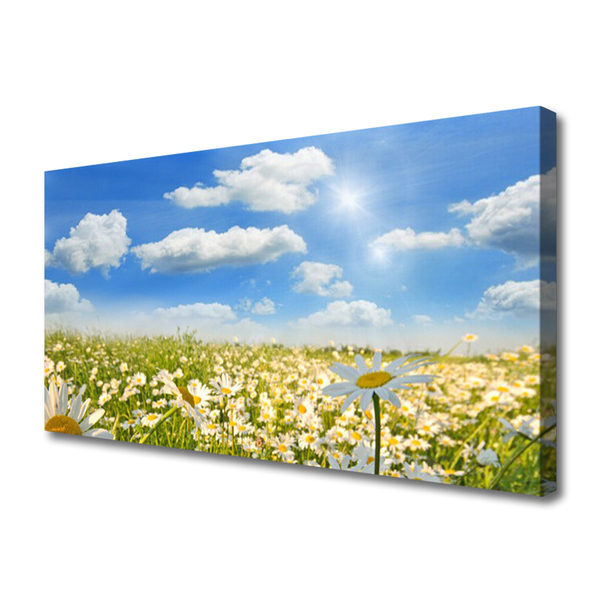 Quadro em tela Natureza do Prado Daisy