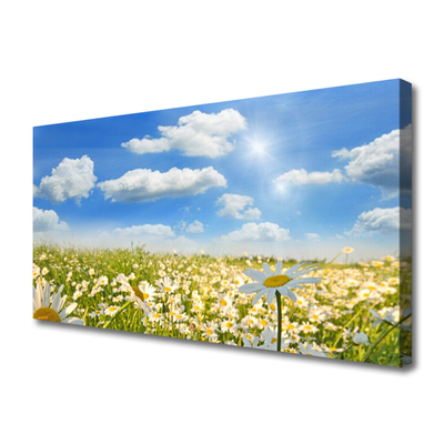 Quadro em tela Natureza do Prado Daisy
