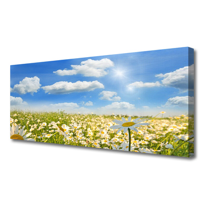 Quadro em tela Natureza do Prado Daisy