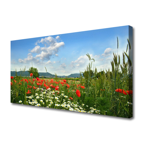 Quadro canvas Flores do Prado Natureza Planta