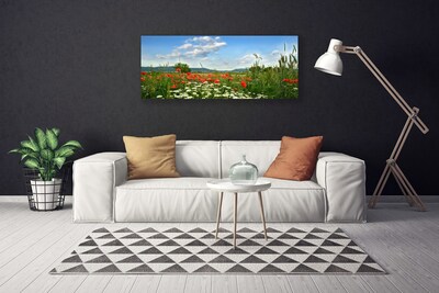 Quadro canvas Flores do Prado Natureza Planta