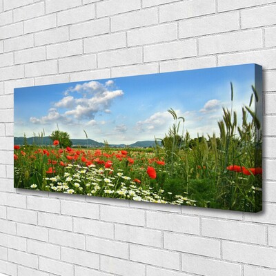 Quadro canvas Flores do Prado Natureza Planta