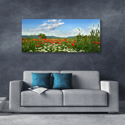 Quadro canvas Flores do Prado Natureza Planta