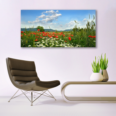 Quadro canvas Flores do Prado Natureza Planta