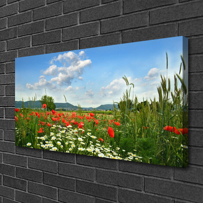 Quadro canvas Flores do Prado Natureza Planta