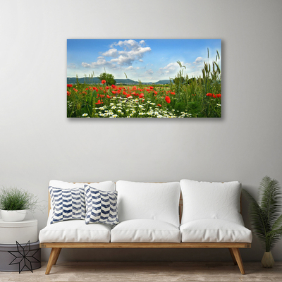Quadro canvas Flores do Prado Natureza Planta