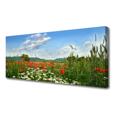 Quadro canvas Flores do Prado Natureza Planta