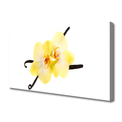 Quadro canvas Flores Planta Natureza