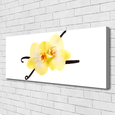 Quadro canvas Flores Planta Natureza