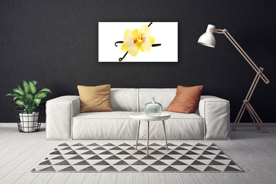 Quadro canvas Flores Planta Natureza
