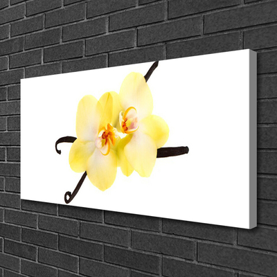 Quadro canvas Flores Planta Natureza