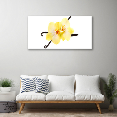 Quadro canvas Flores Planta Natureza
