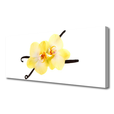 Quadro canvas Flores Planta Natureza