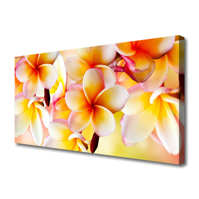 Quadro em tela Flores Planta Natureza