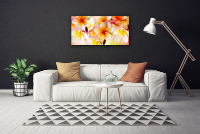 Quadro em tela Flores Planta Natureza
