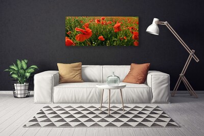Quadro em tela Papoulas Plantam Natureza