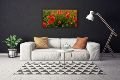 Quadro em tela Papoulas Plantam Natureza