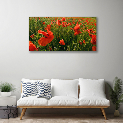Quadro em tela Papoulas Plantam Natureza