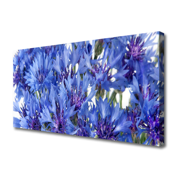 Quadro canvas Flores Planta Natureza