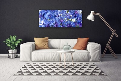 Quadro canvas Flores Planta Natureza