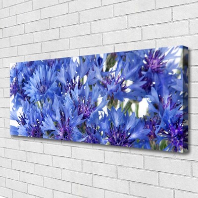 Quadro canvas Flores Planta Natureza