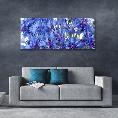 Quadro canvas Flores Planta Natureza