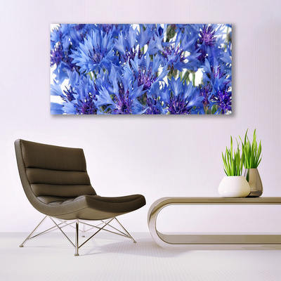 Quadro canvas Flores Planta Natureza