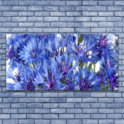 Quadro canvas Flores Planta Natureza