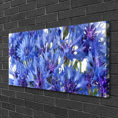 Quadro canvas Flores Planta Natureza